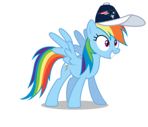  arco iris Dash wearing a New England Patriots gorra, cap