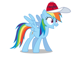  彩虹 Dash wearing a Washington Capitals 帽
