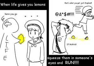  Sealand's Lemons