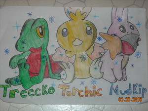  Shiny Treecko, Torchic, and Mudkip