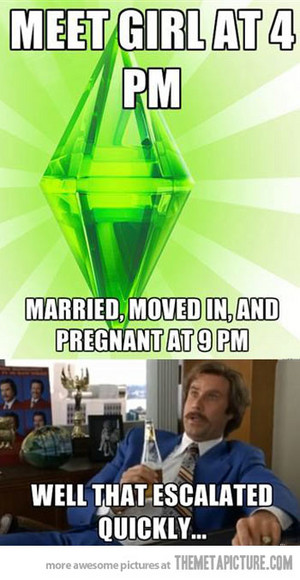  Sims 3 Funny Pictures