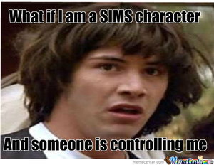  Sims 3 Memes