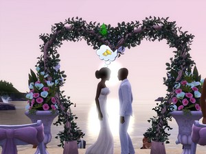 Sims 3 Wedding pics