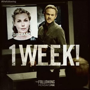  The Following Season 3 1 week ícone
