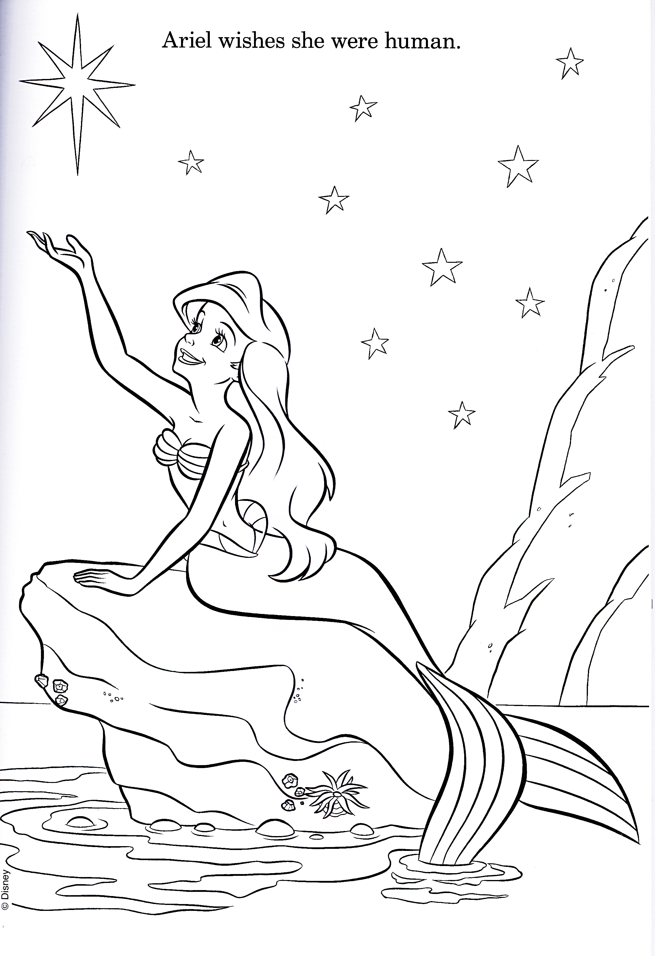 walt-disney-coloring-pages-princess-ariel-walt-disney-characters-photo-38135735-fanpop