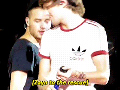  Zayn to the Rescue! :D
