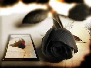a black rose woth a love letter next to it
