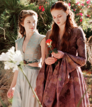  Sansa Stark & Margaery Tyrell