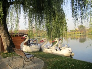  parcul Alexandru Ioan Cuza lacul Titan IOR Bucuresti Bucharest Romania