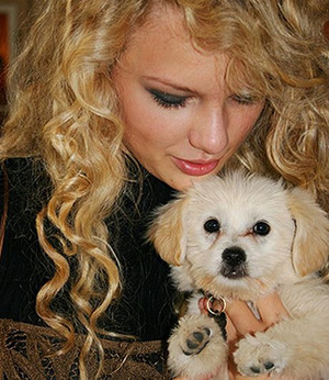 taylor swift with a puppy