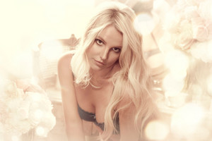  Britney Intimate Collection