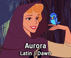  Disney Leading Ladies - Name Meanings