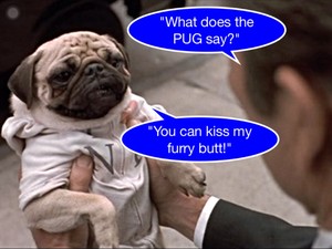  Frank the Pug tells Kay like it is!