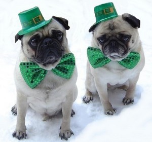  Happy St. Patrick's siku