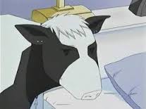  Haru the Cow