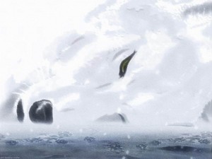  Kiba | Wolf's Rain