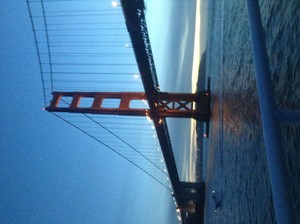  The Golden Gate Bridge