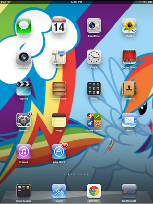  iPad Screenshot 4