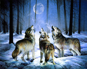  3 serigala, wolf at night :)