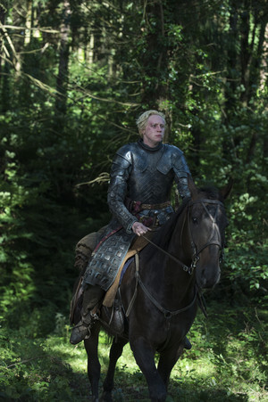  Brienne of Tarth Season 5