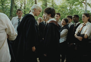  Draco and Harry~