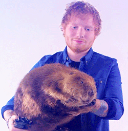  Ed and Justin beaver, biva
