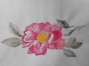 Flower drawing        