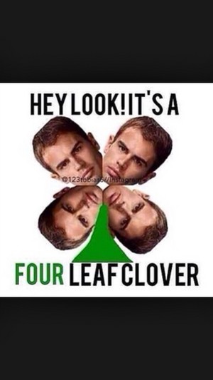  Four leaf clover