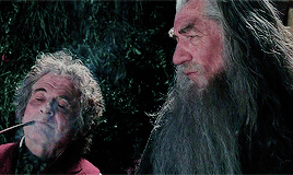  Gandalf and Bilbo