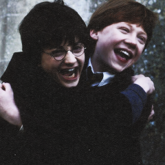 Harry and Ron Icon