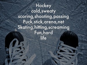  Hockey