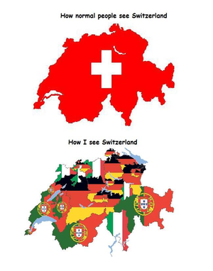  How normal people see Switzerland Vs how I see Switzerland