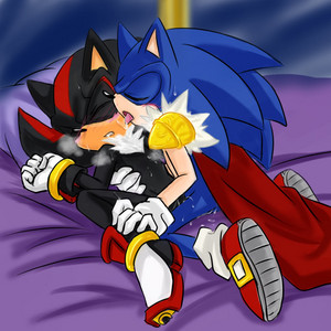  King Sonic and Shadow