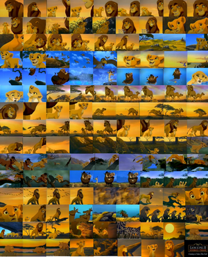  May 10th Simba's Pride visualização collage