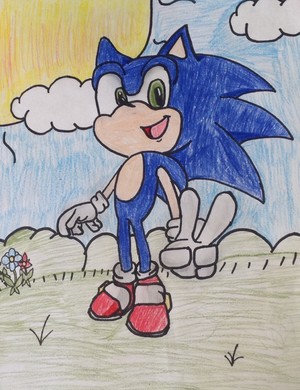  My Drawing of Sonic the Hedgehog
