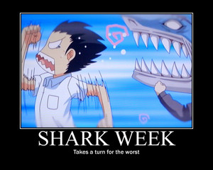  tubarão Week