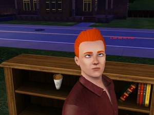 Sims 3 - Funny captions