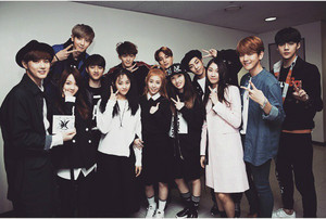  The Ark Update with EXO