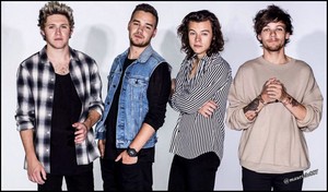  one direction,2015