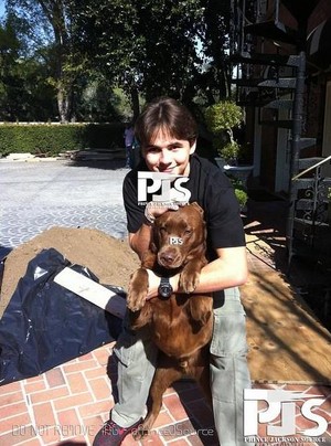  prince jackson with his dog kenya