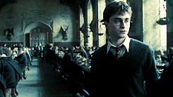  ♘ drarry gifs