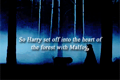 ♘ drarry gifs