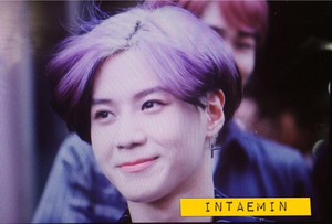  150520 Purple Taemin 태민 - 玉ねぎ, タマネギ Beauty