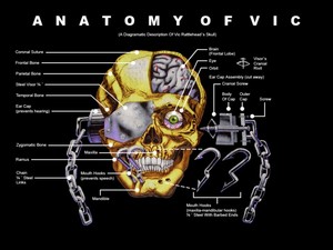 Anatomy of Vic