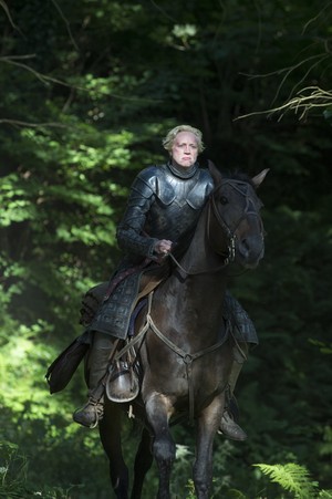  Brienne Of Tarth Season 5