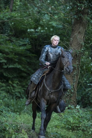  Brienne Of Tarth Season 5
