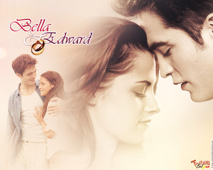 Edward dan Bella