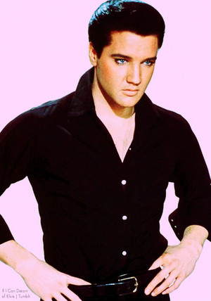 Elvis Presley 🎸