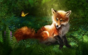  cáo, fox