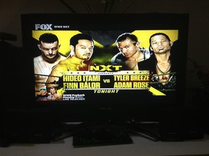  Hideo Itami and Finn Bálor vs. Tyler Breeze and Adam Rose